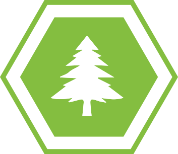 Sustainable Tree Icon